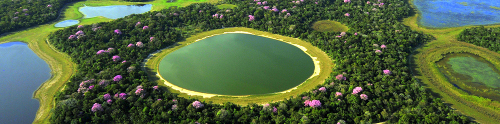 pantanal